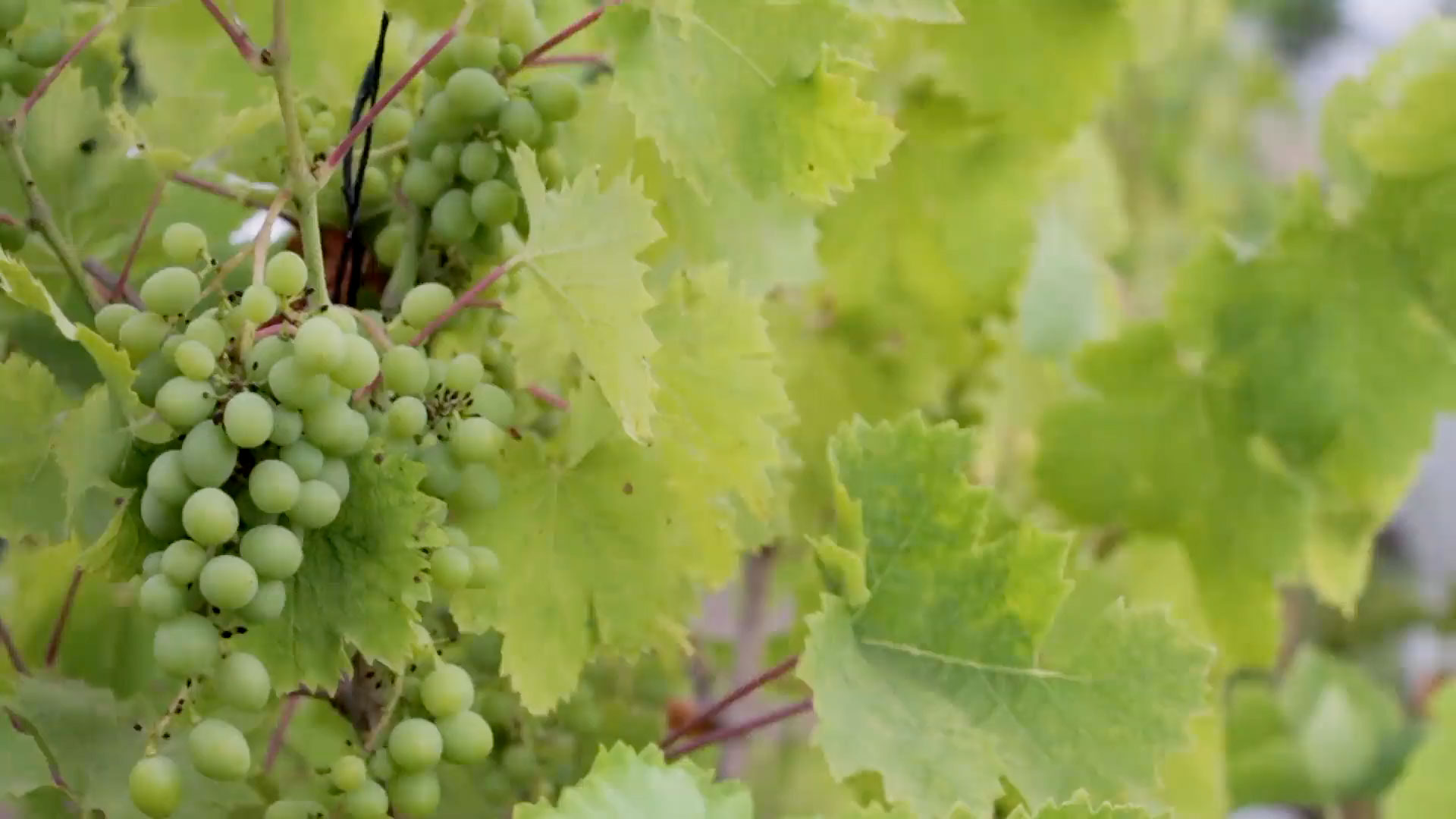 Chehalem Property Management Oregon's Trusted Property Management Company