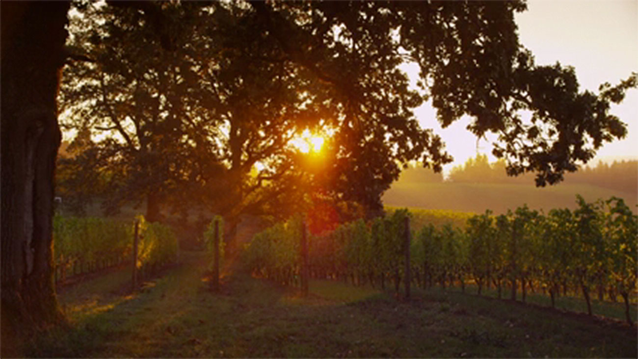 Chehalem Property Management Oregon's Trusted Property Management Company